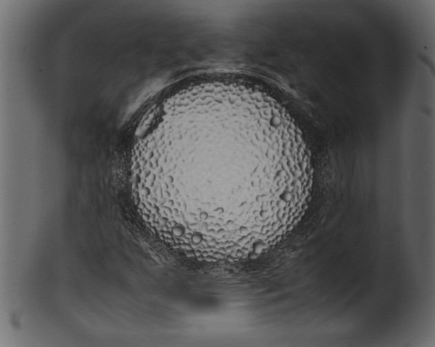 X0000101221255200807181544