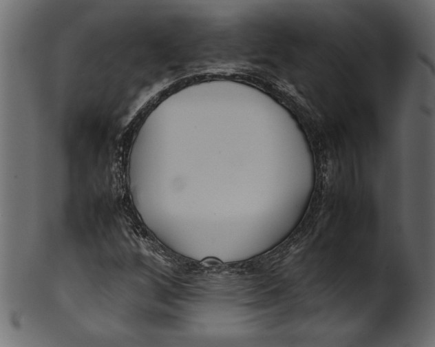 X0000101221256200807181544