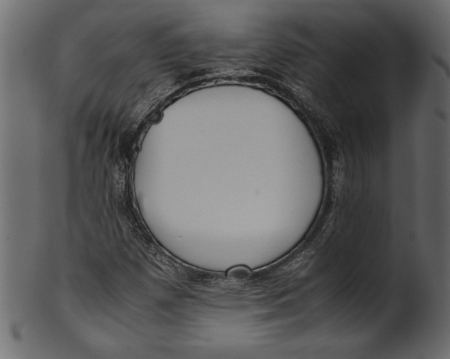 X0000101221257200807181543