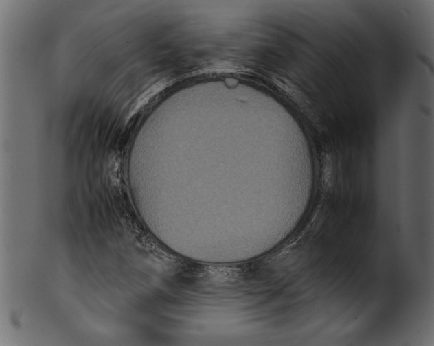 X0000101221258200807181543