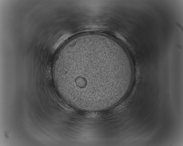 X0000101221259200807181543