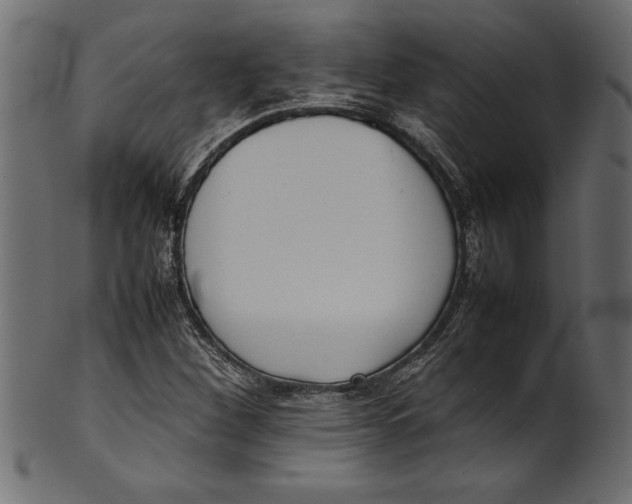 X0000101221260200807181543