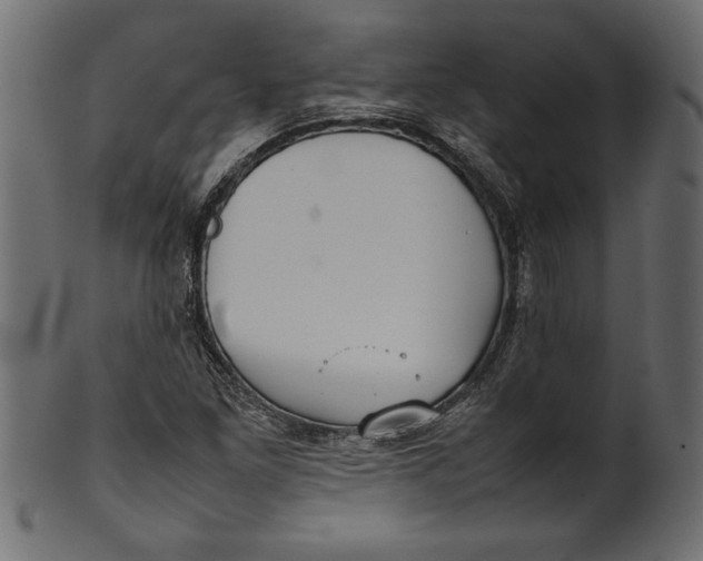X0000101221261200807181543
