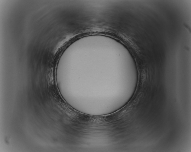 X0000101221262200807181543
