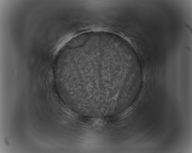 X0000101221263200807181543