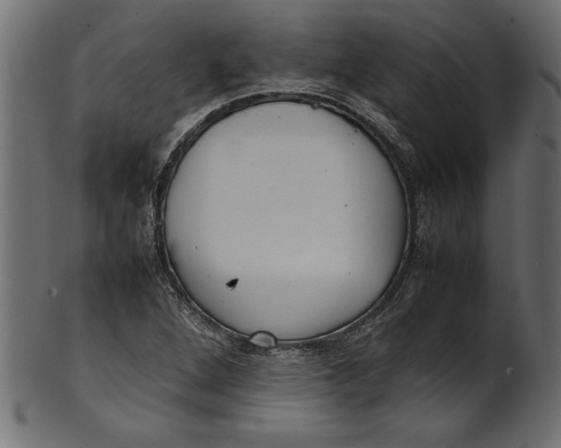 X0000101221264200807181543