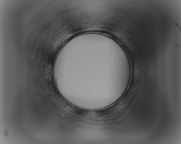 X0000101221265200807181543