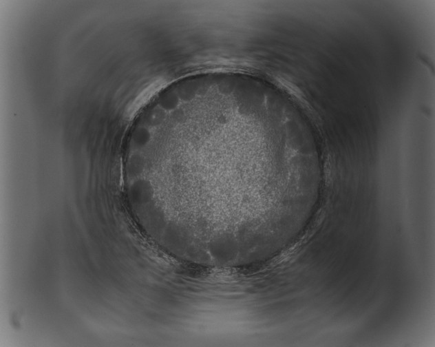 X0000101221267200807181543