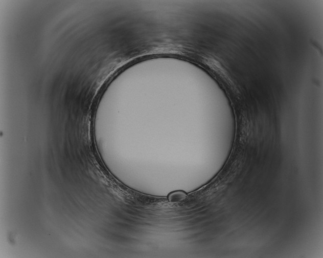 X0000101221268200807181543