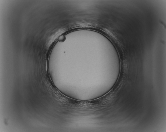 X0000101221269200807181543