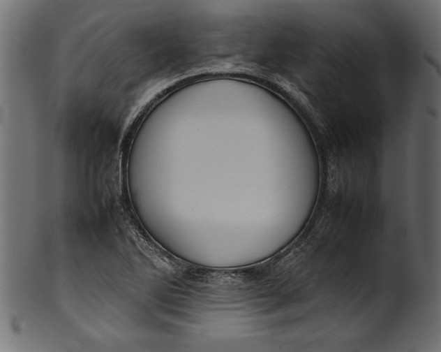 X0000101221270200807181543