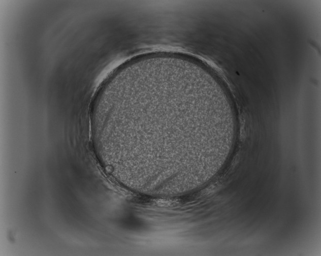 X0000101221271200807181543