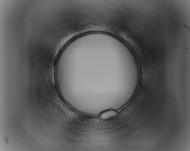 X0000101221272200807181543