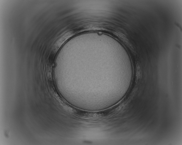 X0000101221273200807181543