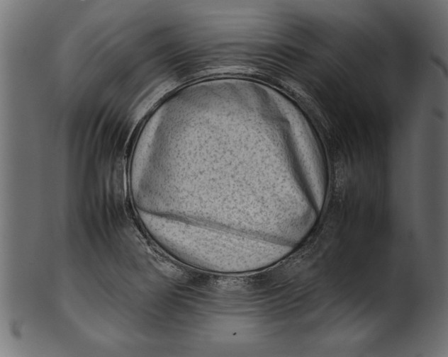X0000101221274200807181543