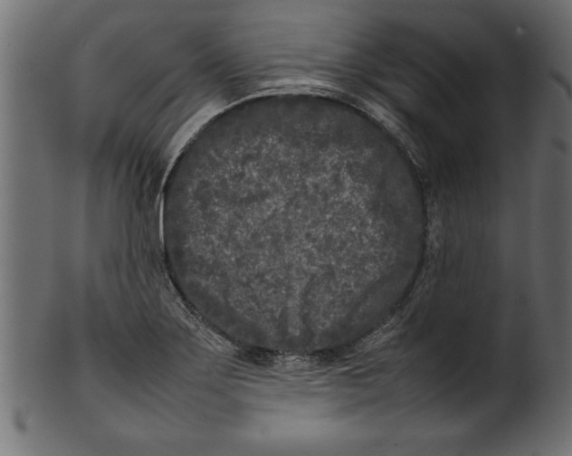 X0000101221275200807181543