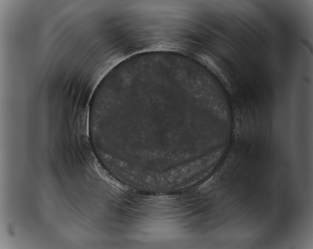 X0000101221276200807181543