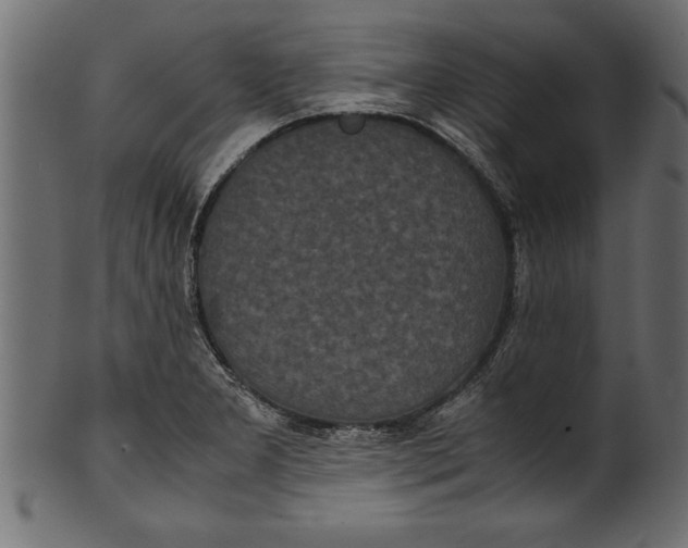 X0000101221277200807181543