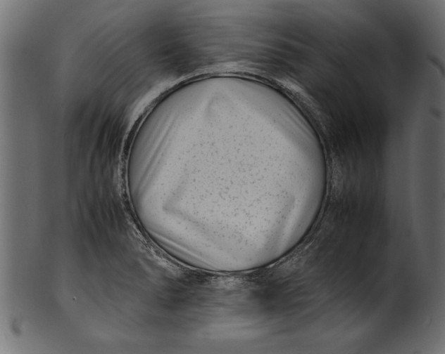 X0000101221278200807181543