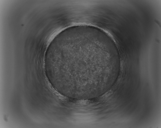 X0000101221279200807181543