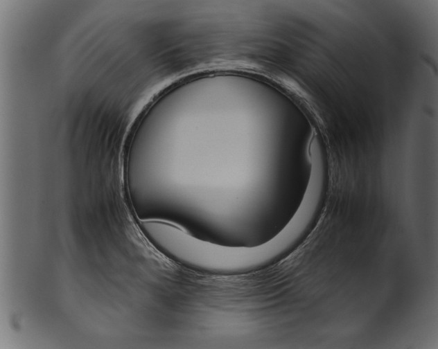 X0000101221280200807181543