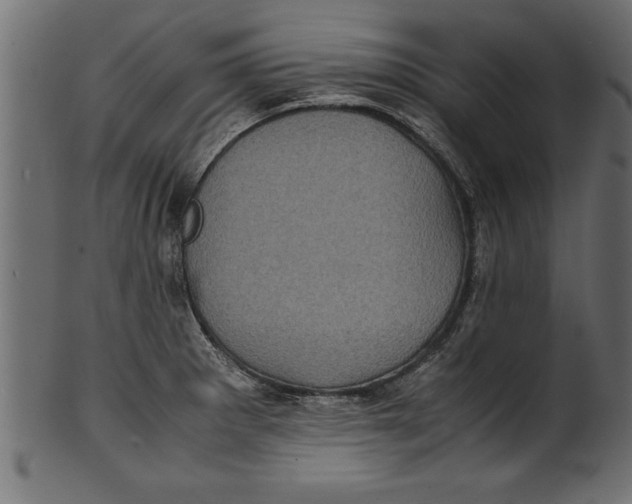 X0000101221281200807181543