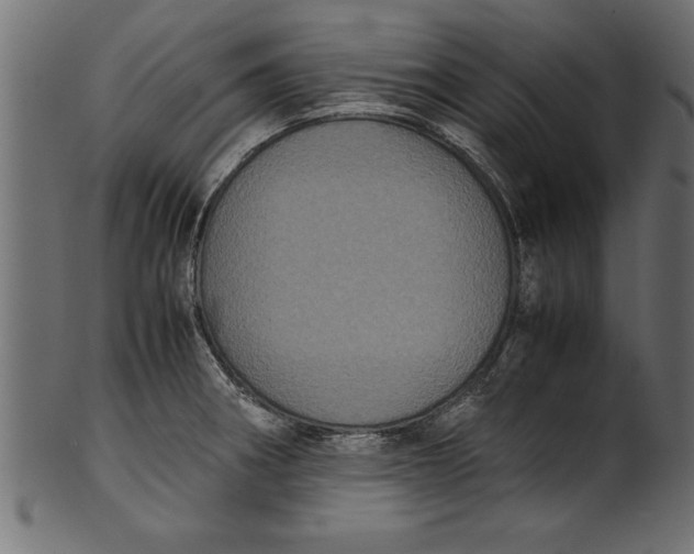 X0000101221282200807181543