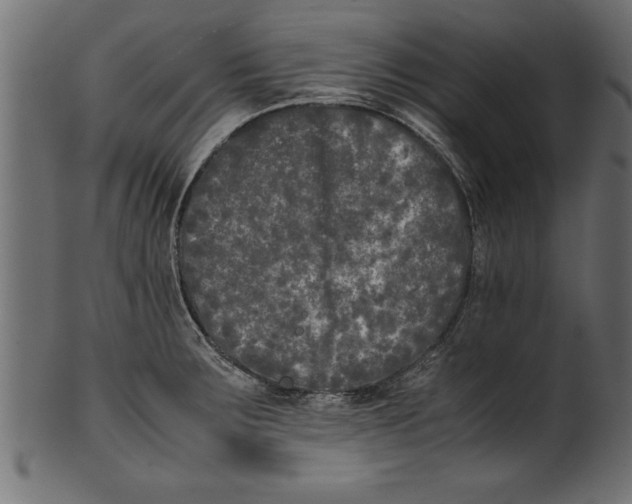 X0000101221283200807181543