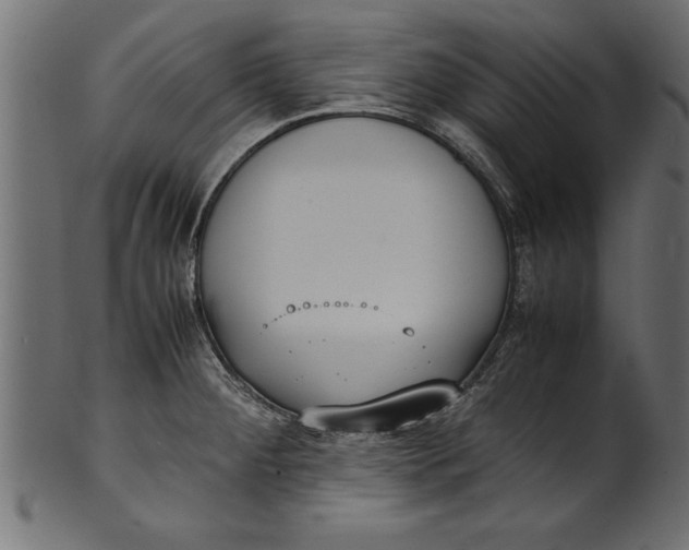 X0000101221284200807181543