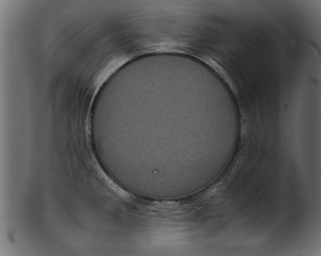 X0000101221285200807181543