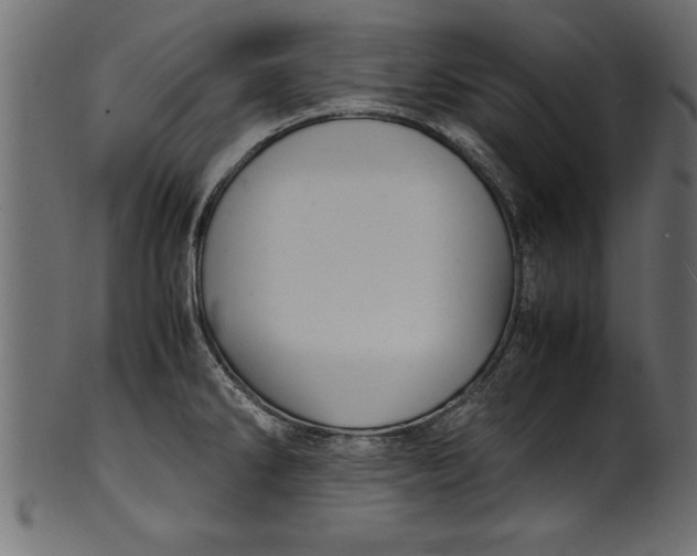 X0000101221286200807181543