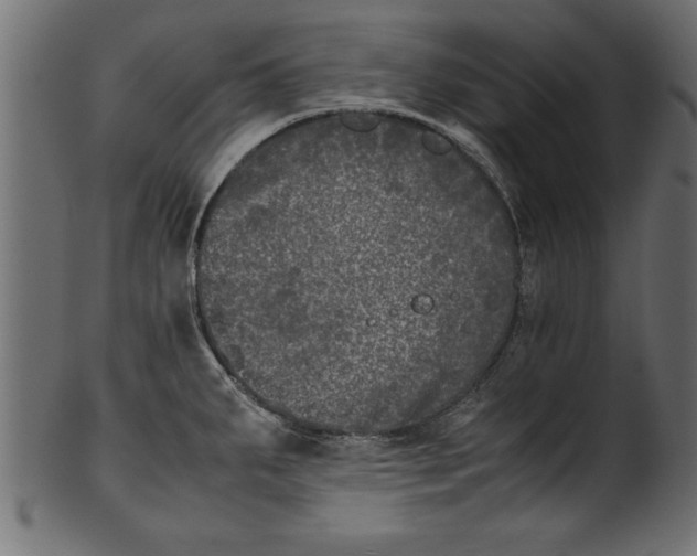 X0000101221287200807181543
