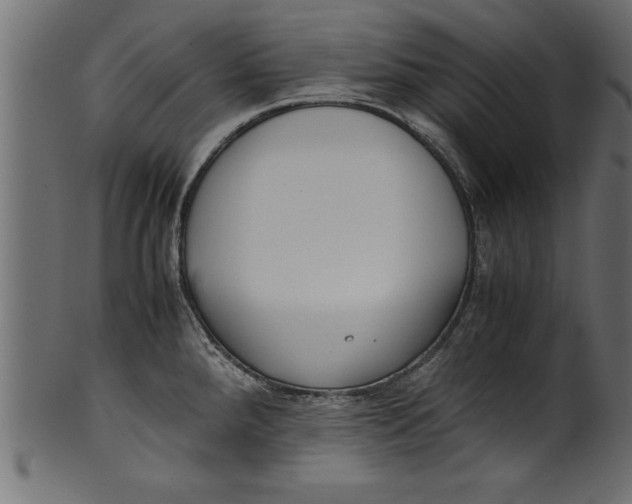 X0000101221288200807181543