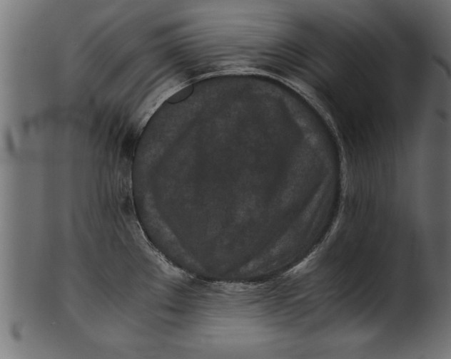 X0000101221289200807181543