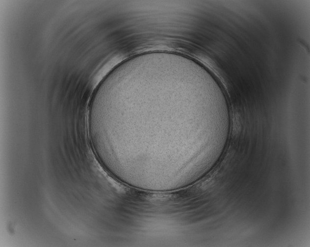 X0000101221290200807181543