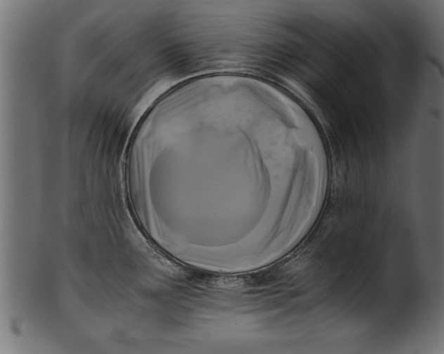 X0000101221291200807181543