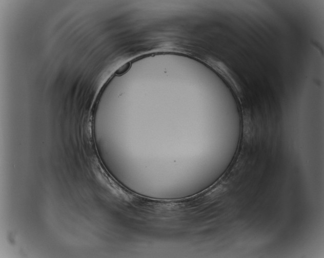 X0000101221292200807181543