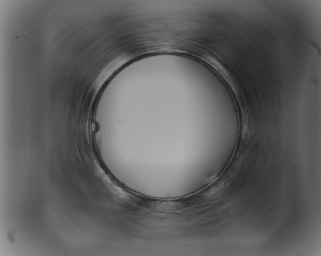 X0000101221293200807181543