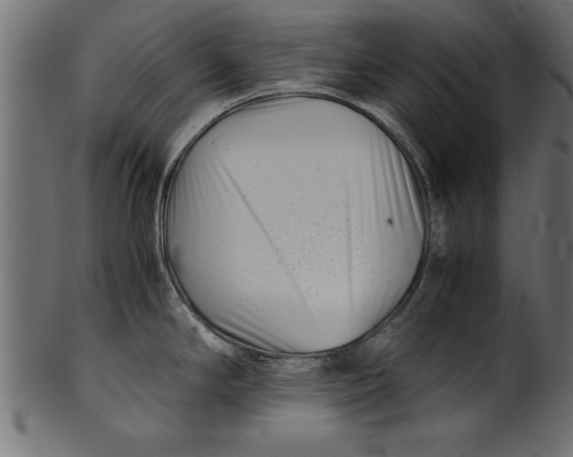 X0000101221294200807181543