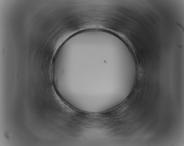 X0000101221295200807181543