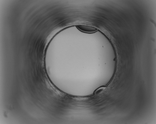 X0000101221296200807181543