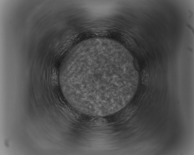 X0000101221298200807181542