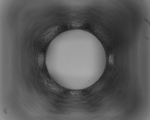X0000101221299200807181542