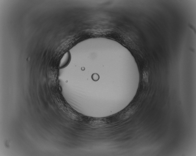 X0000101221300200807181542