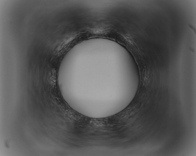 X0000101221301200807181542