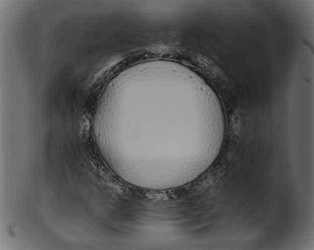 X0000101221302200807181542