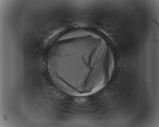 X0000101221303200807181542