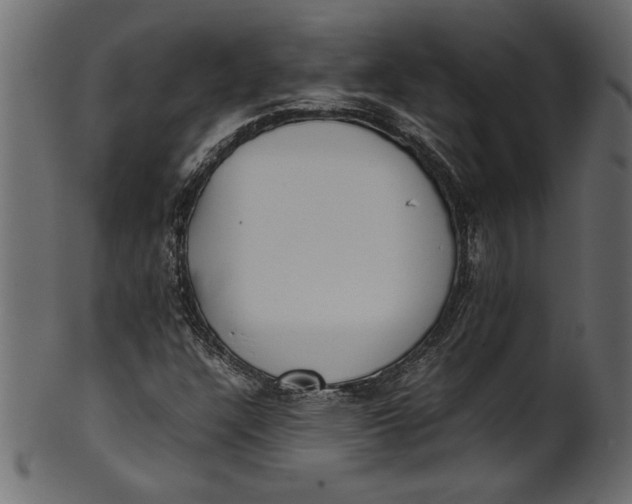 X0000101221304200807181542
