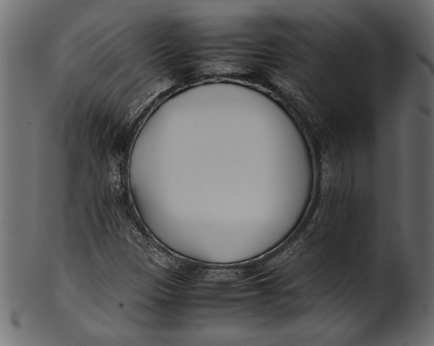 X0000101221305200807181542