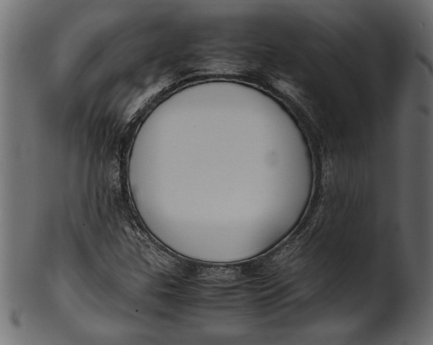X0000101221307200807181542